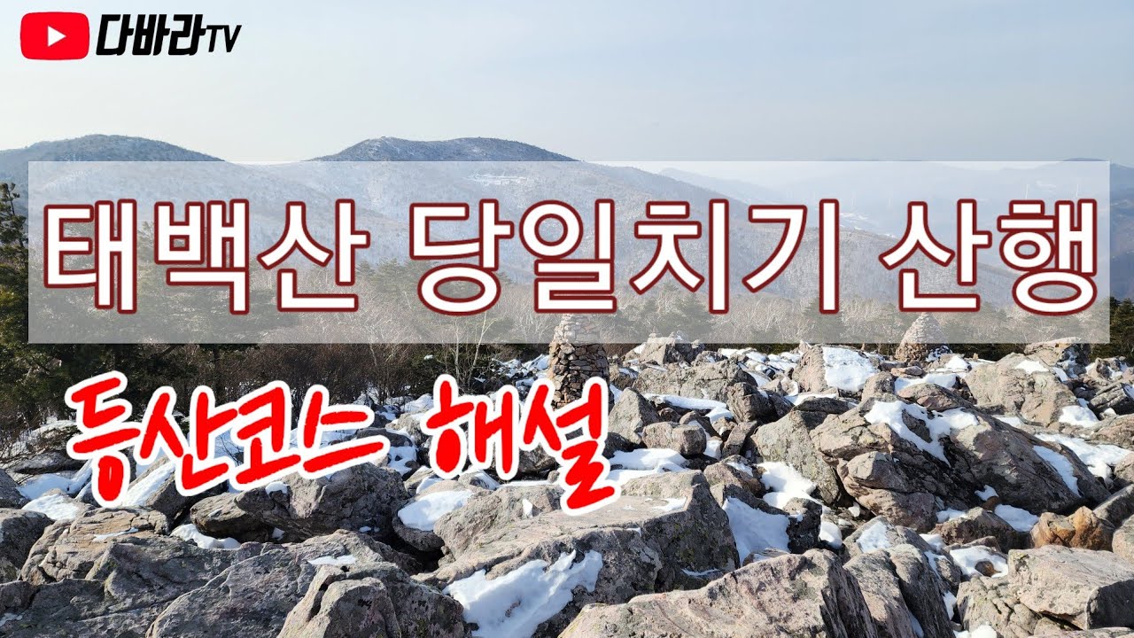 태백산 당일치기 산행 태백산 등산코스