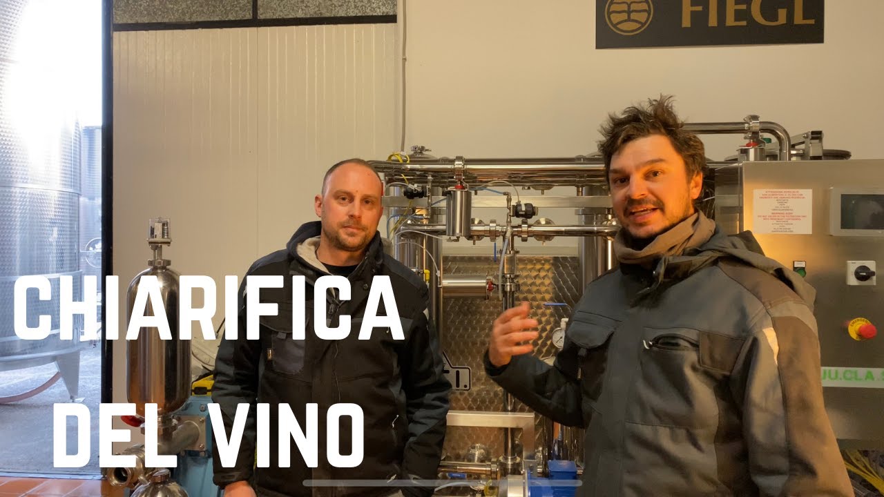 Chiarifica del vino: Robert ci svela tutti i segreti
