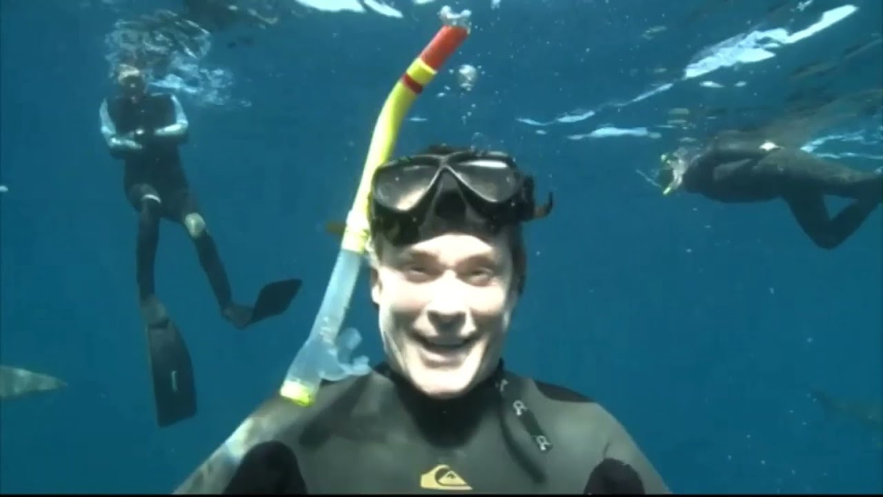 David Hasselhoff Sharkwatch - 2009