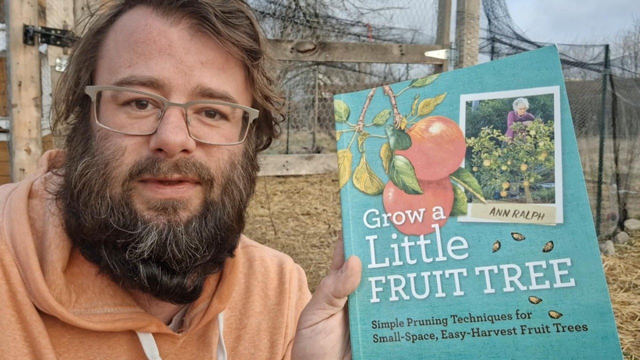 Grow a Little Fruit Tree! Hard Pruning 2 Pears & 1 Apple Tree - Indiana Food Forest