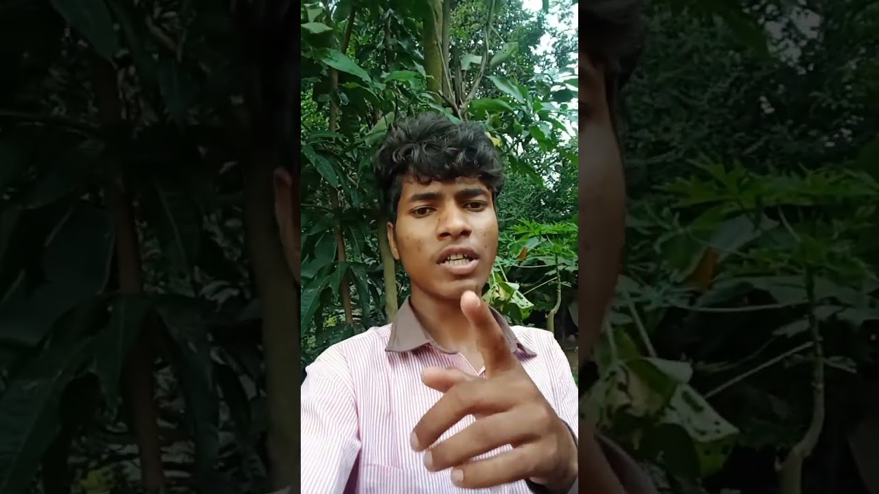 🌿Dil  Kar Har Dhadkan Mein bus Gaile toy Pagla Deewana banae Dil toy🌿🌿🌿#nagpuri #trending #video🌿🌿🥀🥀