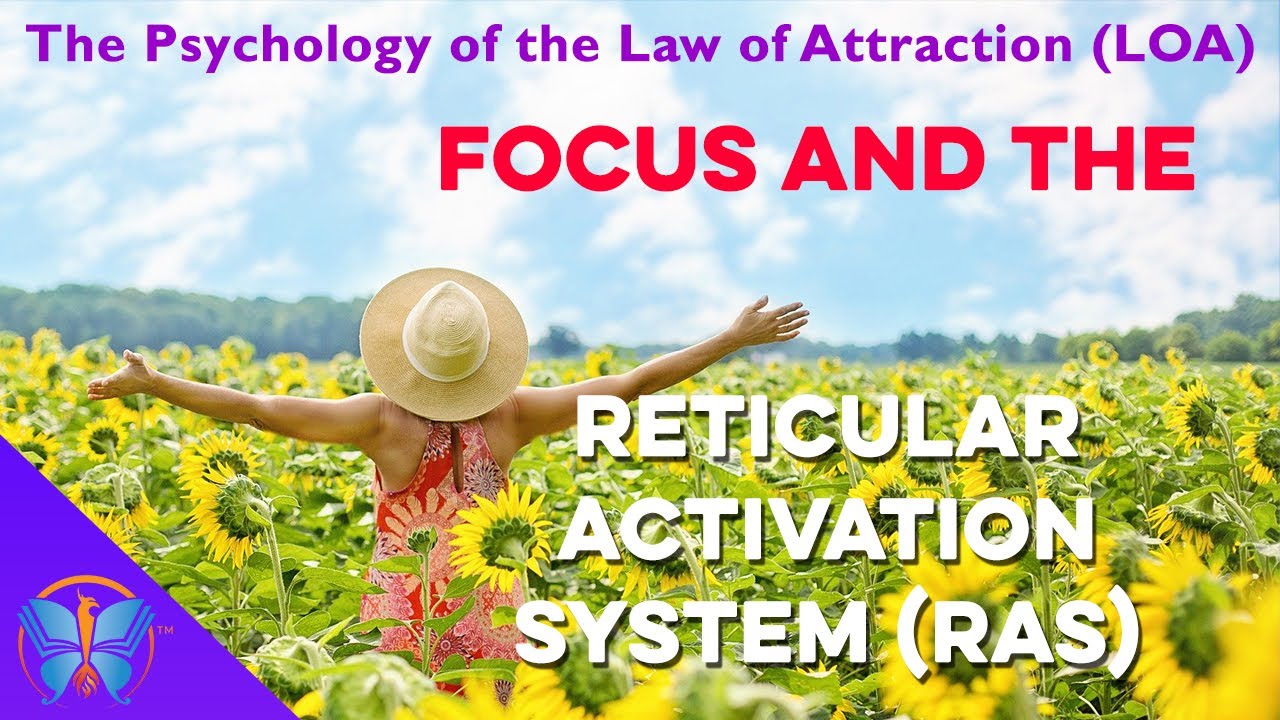 How FOCUS and the Reticular Activating System (RAS) Shape Your Reality | LOA Brain Science