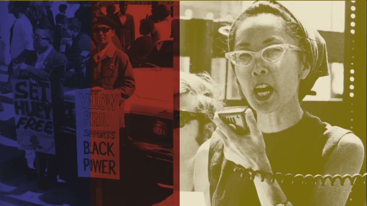 Invisible to Invincible: Asian Actvisim in MN