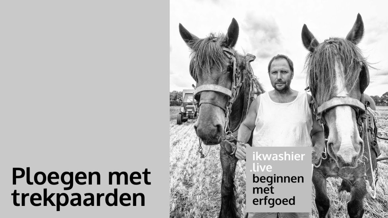 Beginnen met erfgoed 02: Ploegen met trekpaarden - Raf Braspenning op ikwashier.live