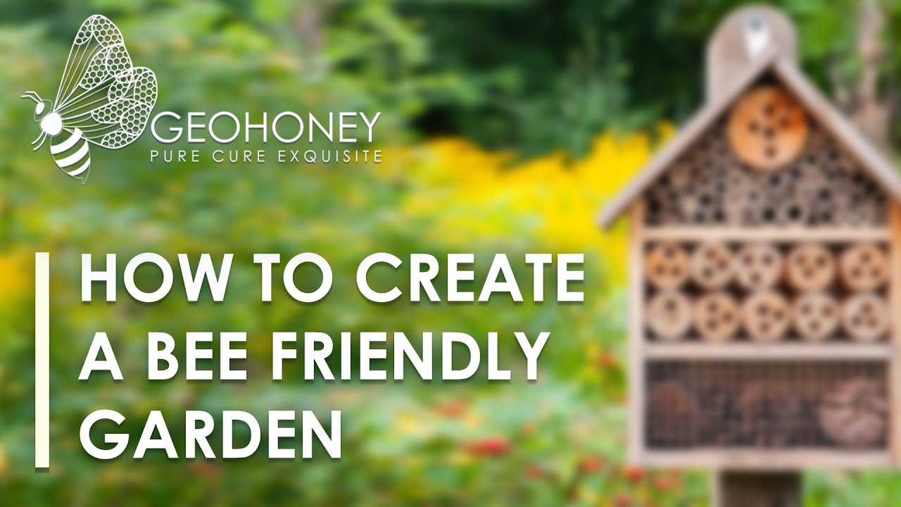 How To Create a Bee Friendly Garden? | Geohoney