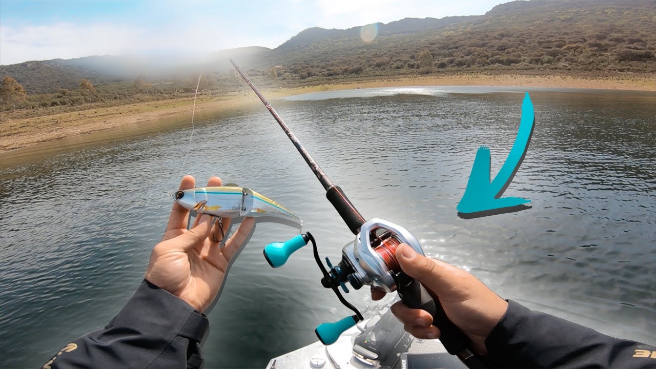 Mis PRIMEROS PECES a SWIMBAIT
