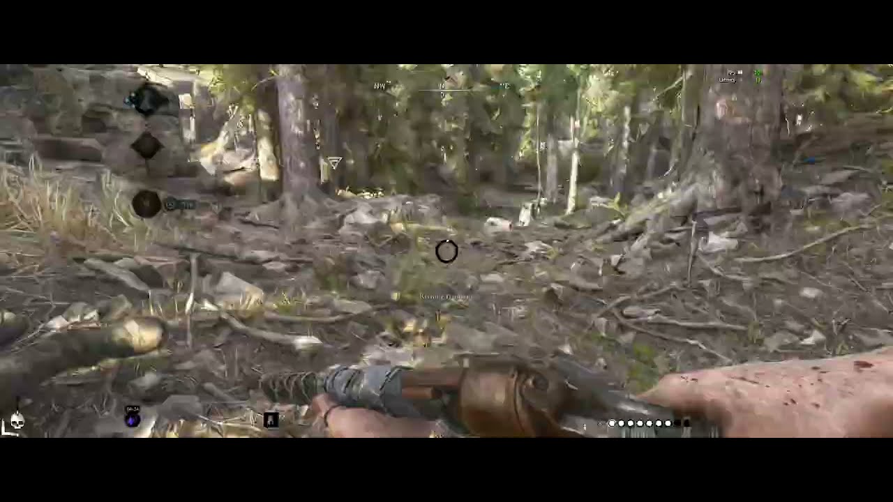 LeMat Carbine Nice HS in the Woods