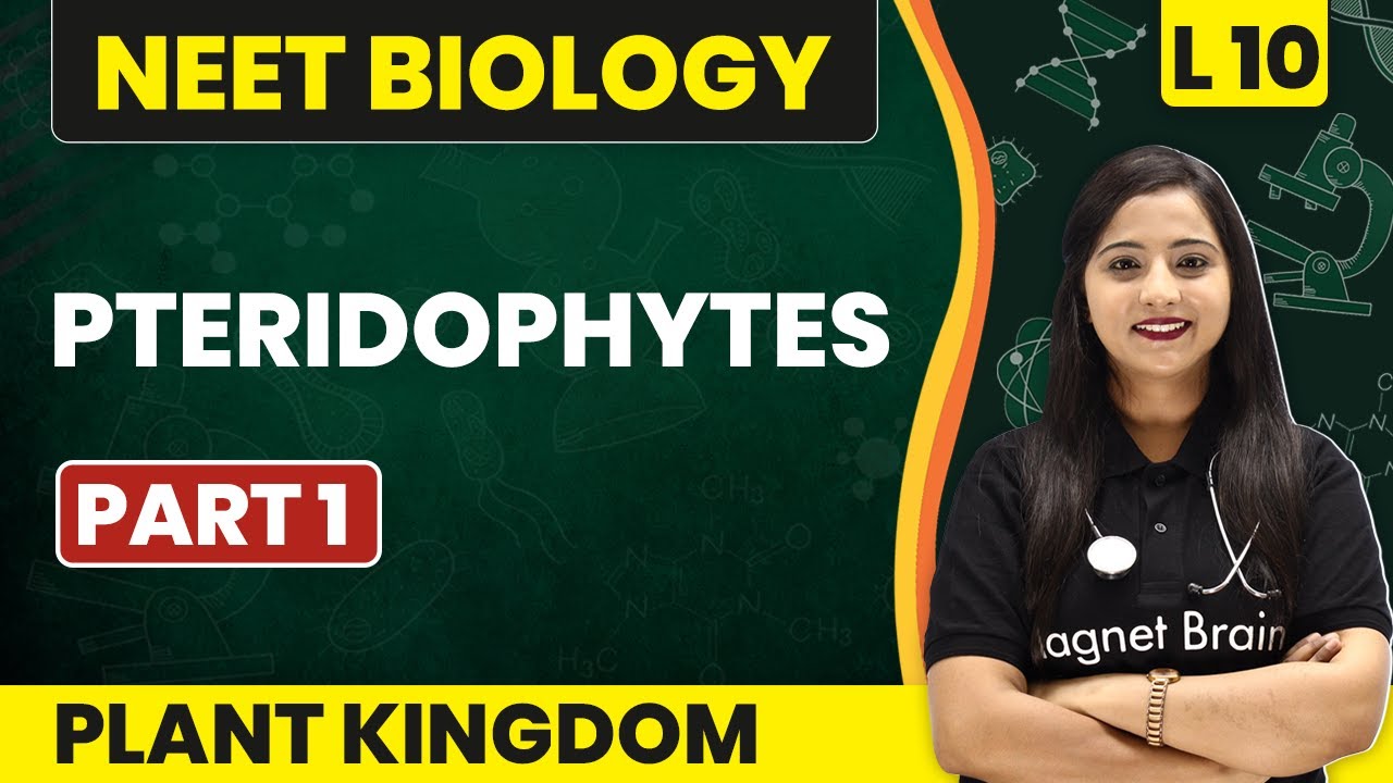 Pteridophytes (Part 1) | Plant Kingdom - L10 (Concepts) | NEET Biology