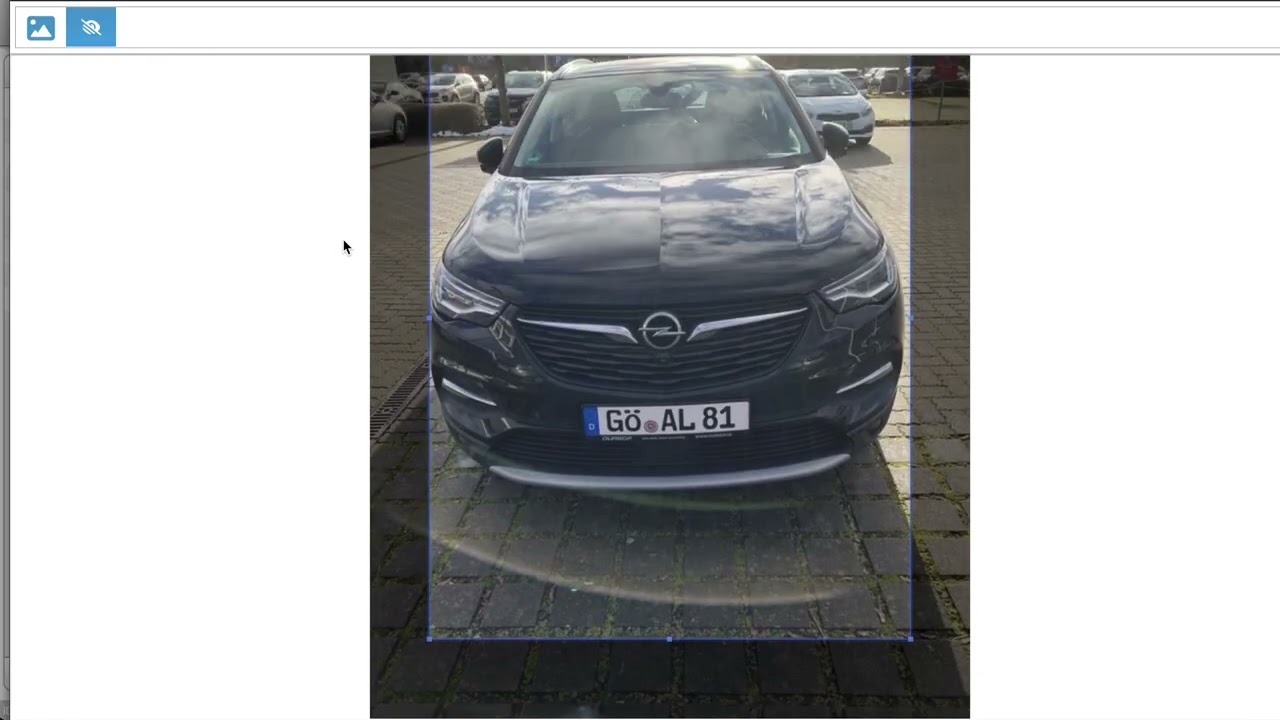 Kfz - Kennzeichen in Fotos unkenntlich machen