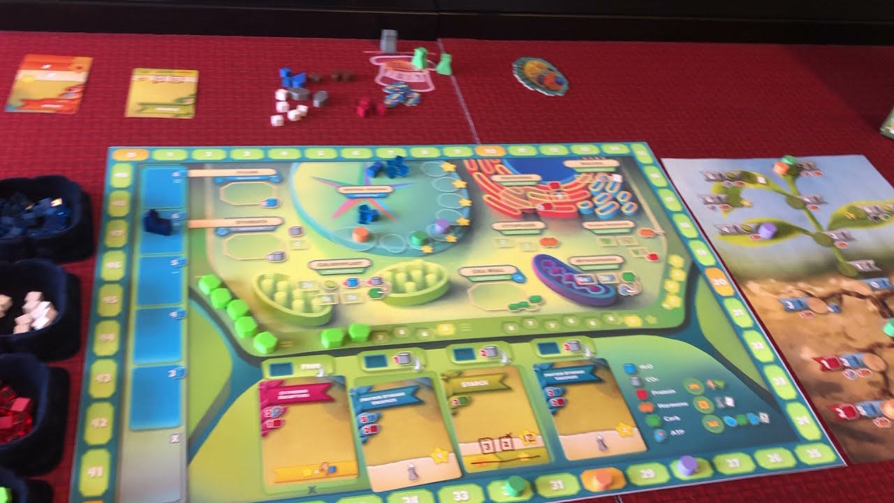 Cellulose Plant Cell Biology Game - Playthru of One Round by Genius Games
