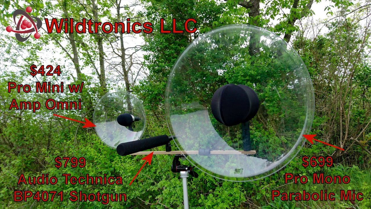 Parabolic Microphone Comparison Tests