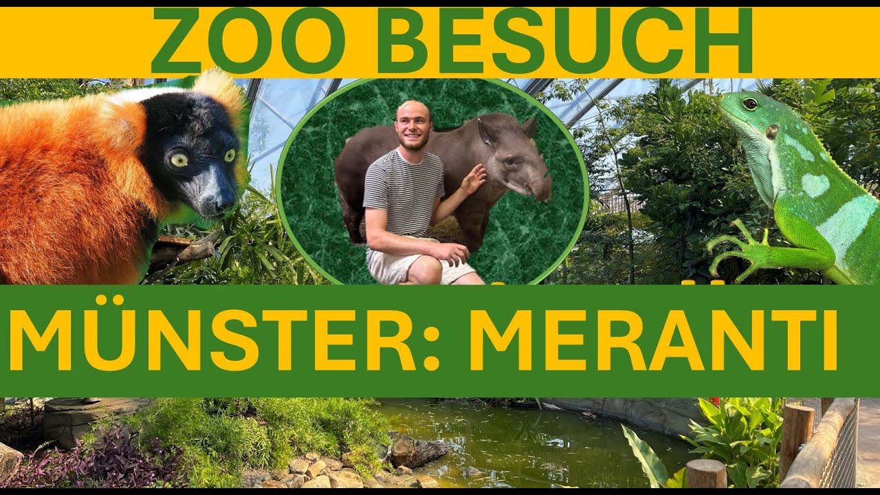 Neue Meranti Halle in Allwetter Zoo Münster