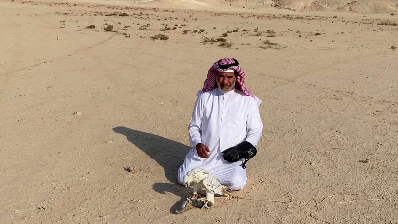 (   نَادْرَةْ الرَاكْدَةْ  ١٤  )