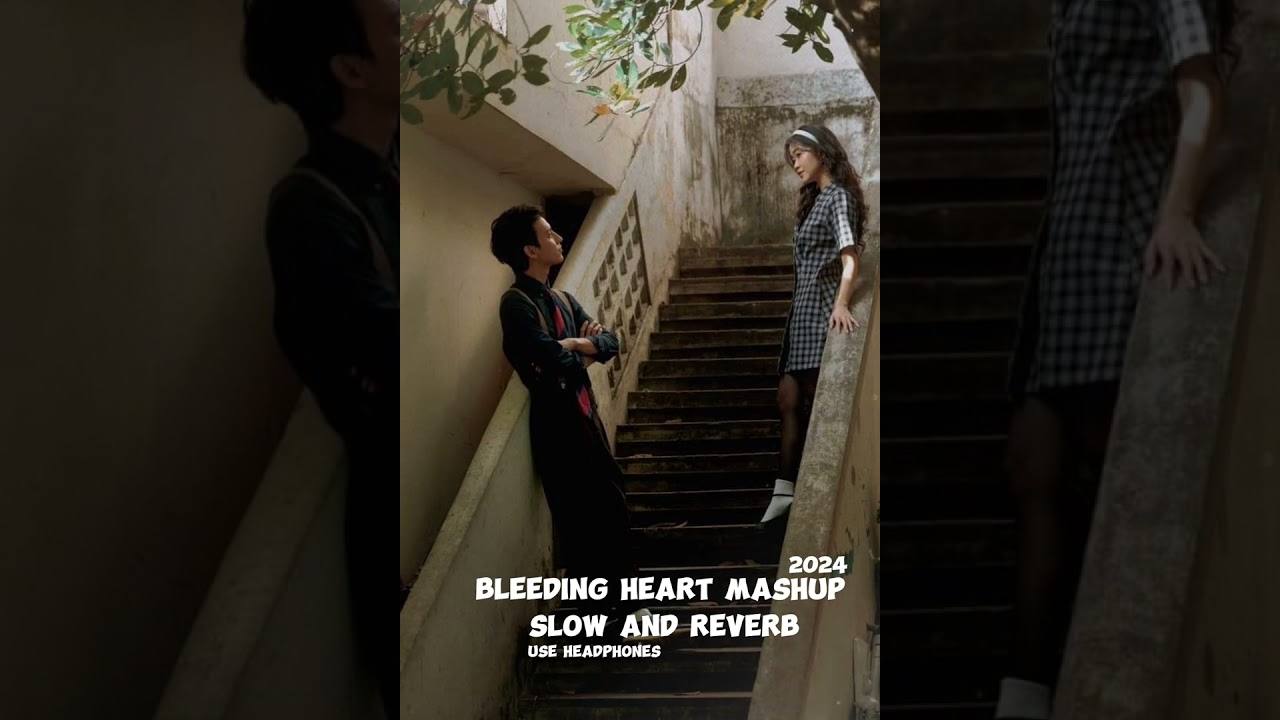 Bleeding Heart Mashup 2024   Mashup | Sadness Chillout | USE HEADPHONES