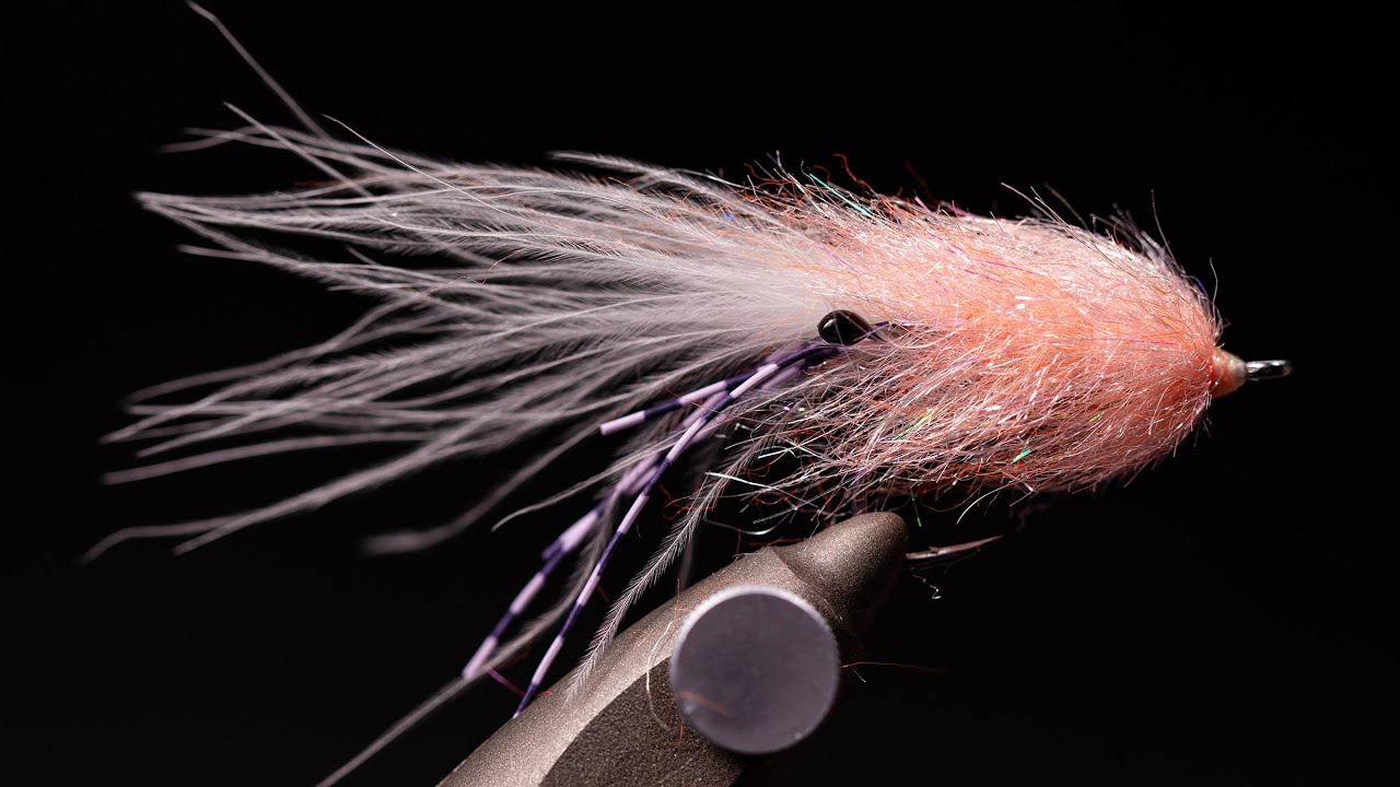 SHE TIES FLIES | Phillips' Simple Shrimp