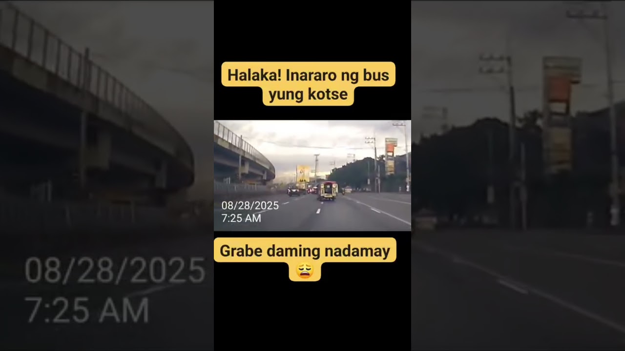 RECKLESS BUS DRIVER