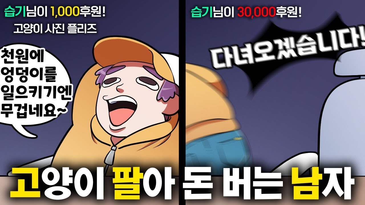 고양이가 보고 싶으면 돈을 내라 이 말이야~
