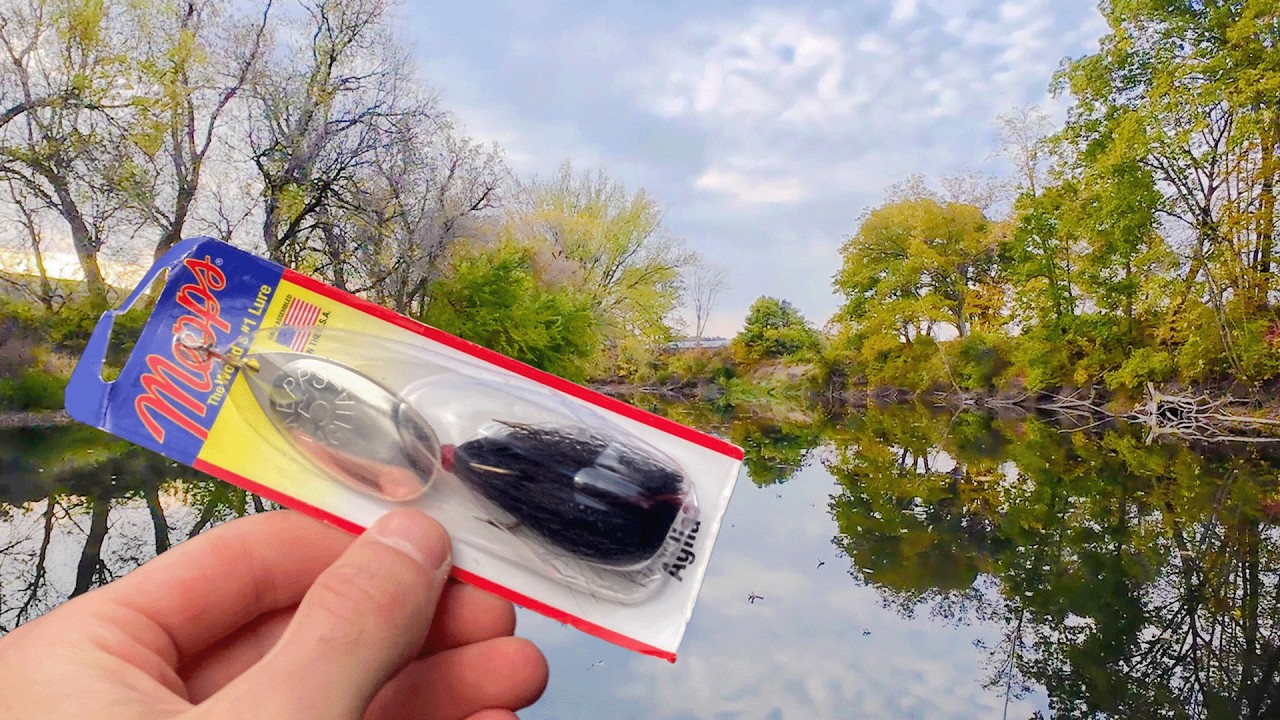 Fall Smallies SLAM the Spinner