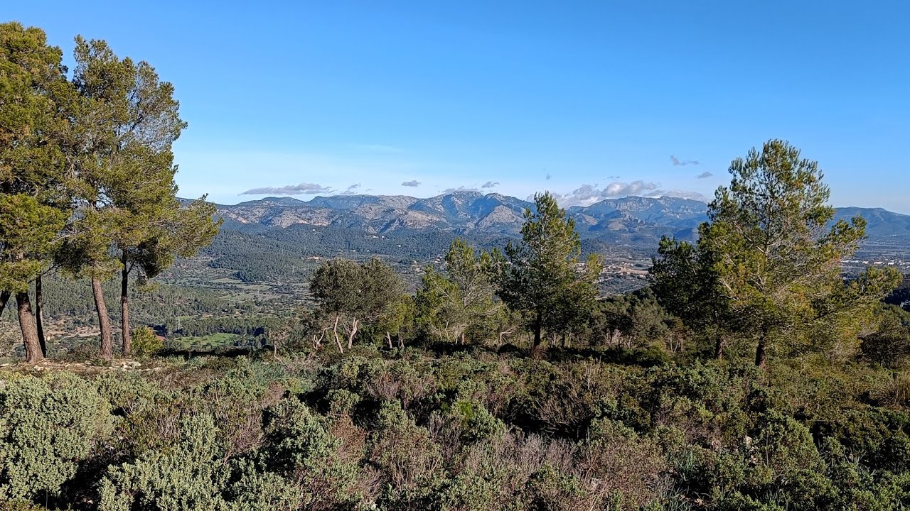 Wandern Mallorca - (001) Vom Cementerio Son Anglada auf den Puig de sa Coma Fosca