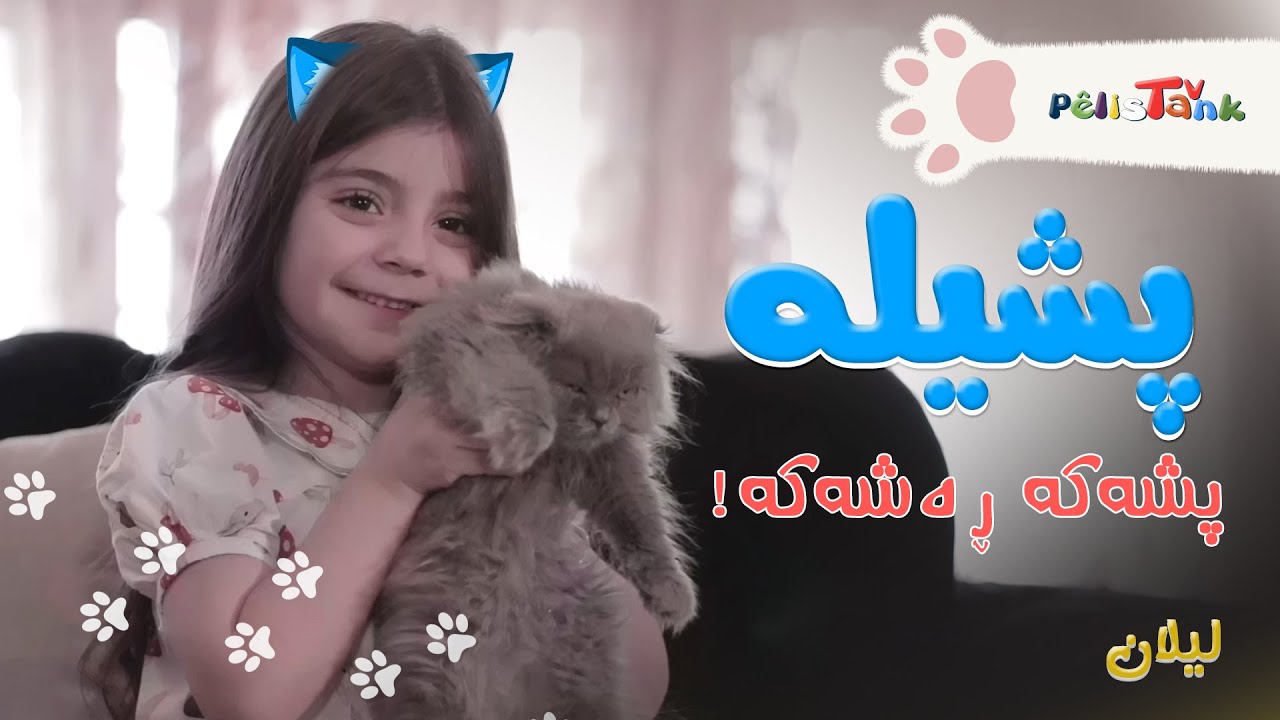 Lîlan - Pşîle | لیلان - پشیلە