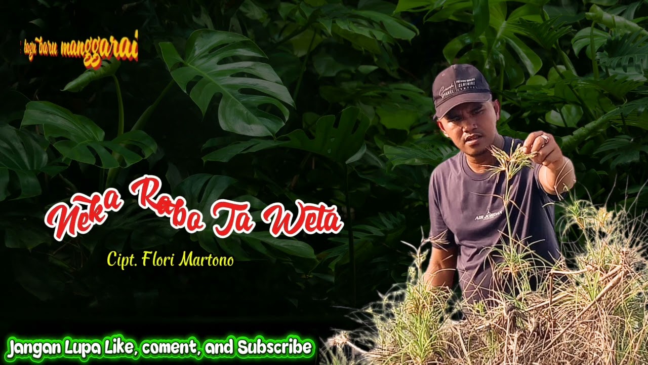 Lagu baru Manggarai 2025. NEKA RABO TA WETA. Cipt. Flori Martono