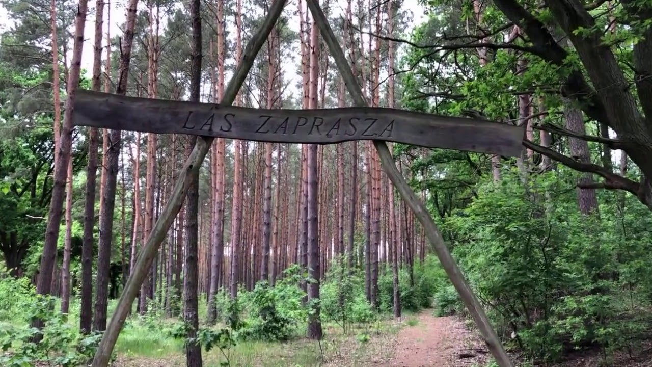 NADLEŚNICTWO TRZCIEL