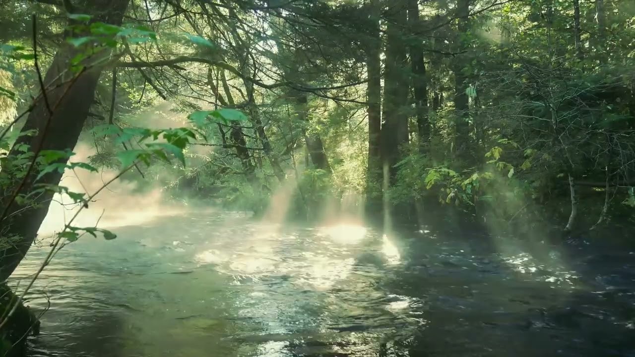 Relaxing 1 Hours Sound
