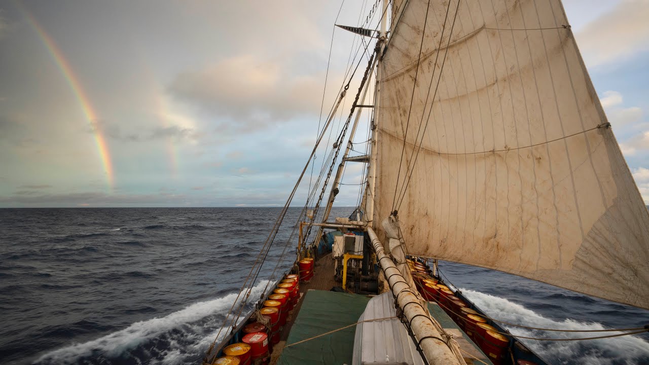 Sailing Across Pacific Ocean on Eco Friendly Cargo Ship - 4K VLOG 200