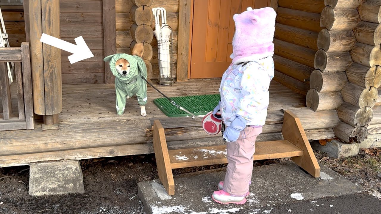 【軽井沢】柴犬にスノーウェアを着てもらった結果…【vol.3】