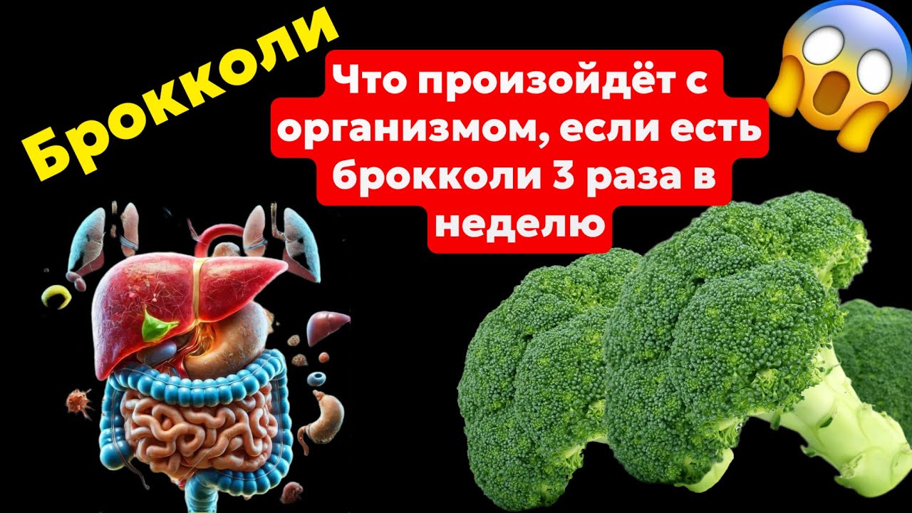 Что происходит с организмом, если есть брокколи?