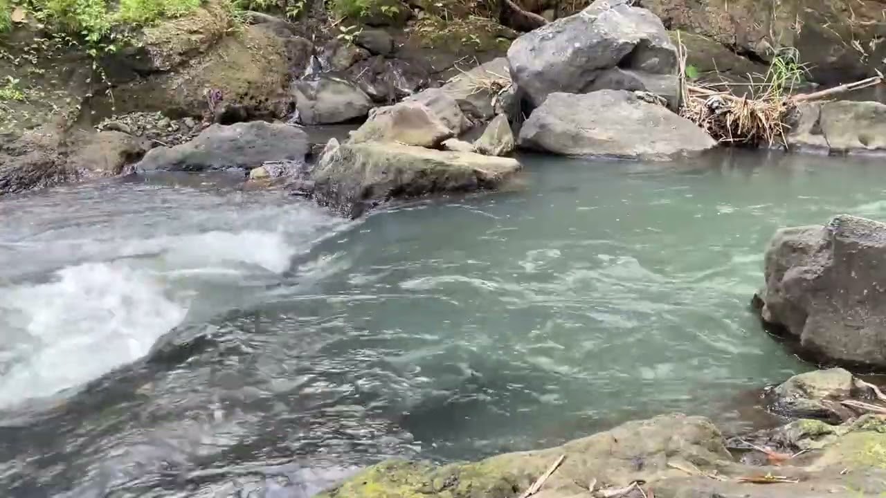 Peaceful River Ambience 🌊 Natural Flowing Water Sounds for Relaxation, Sleep, and Meditation