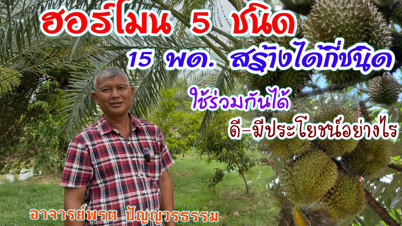 ฮอร์โมน  5 ชนิดช่วยส่งเสริมพืชมีอะไรบ้าง 15 พด.สร้างฮอร์โมนได้ไหมใช่น อ. พรต มีคำตอบ | บ่าวยุทธ