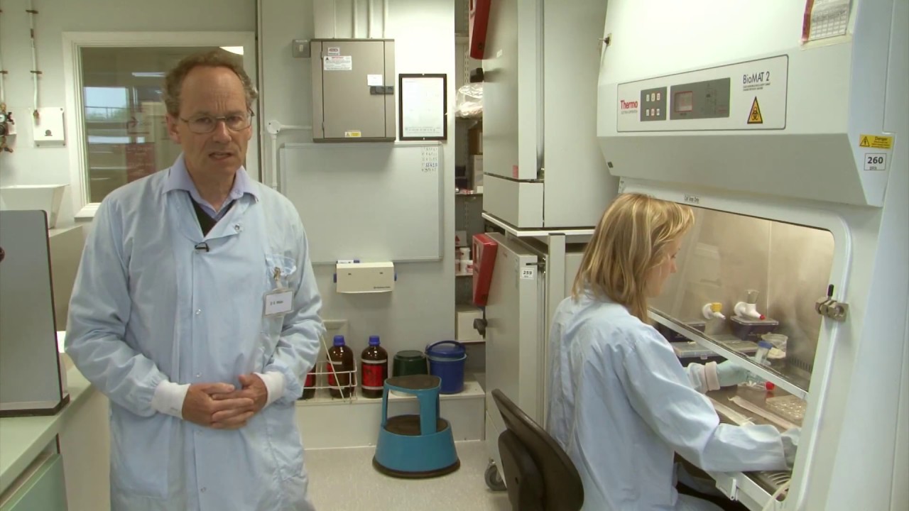 Research Facilities and Industry-linked projects, Professor David Male