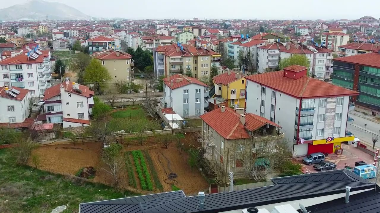 ılgın