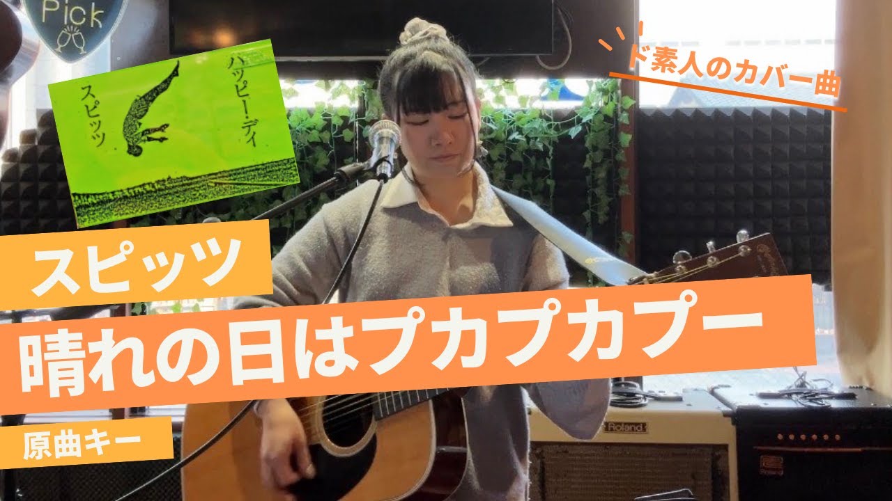 【カバー】晴れの日はプカプカプー(スピッツ)　ギター弾き語り
