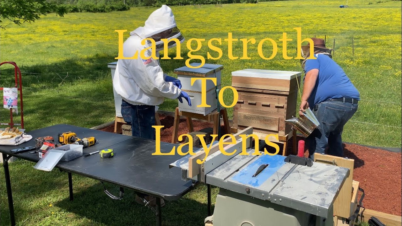 Langstroth to Layens Conversion