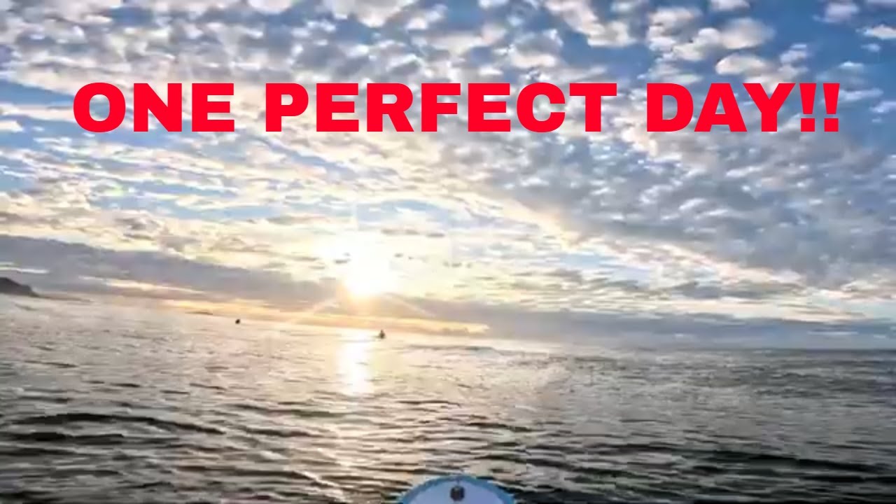 BACK ON THE REEF & MAKING THE MOST OF IT!!
