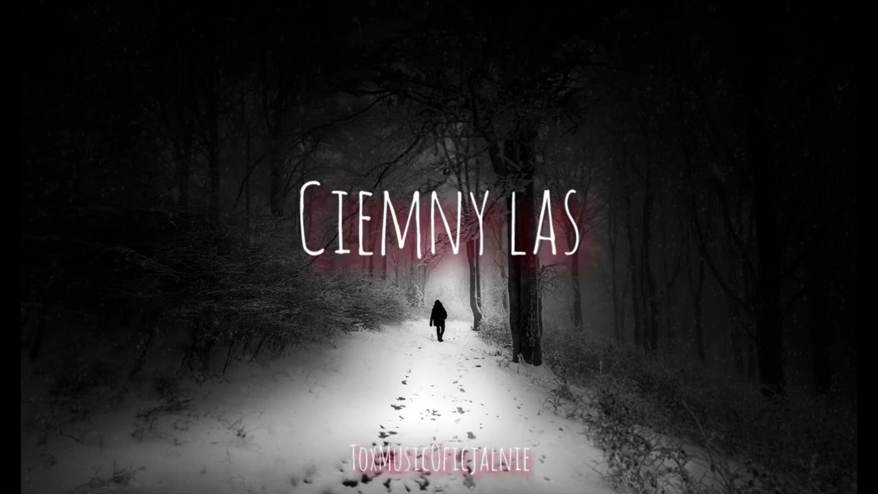 ToxMusicOficjalnie x Ai „Ciemny Las” 