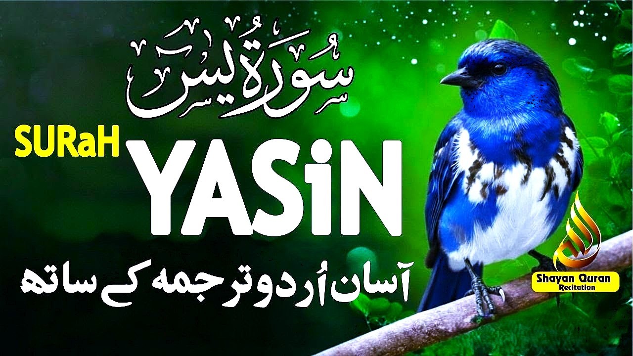 Surah Yasin Full with Urdu & Hindi Translation | Heart of Quran | سورة يس | Qari Mansoor Ghzanavi