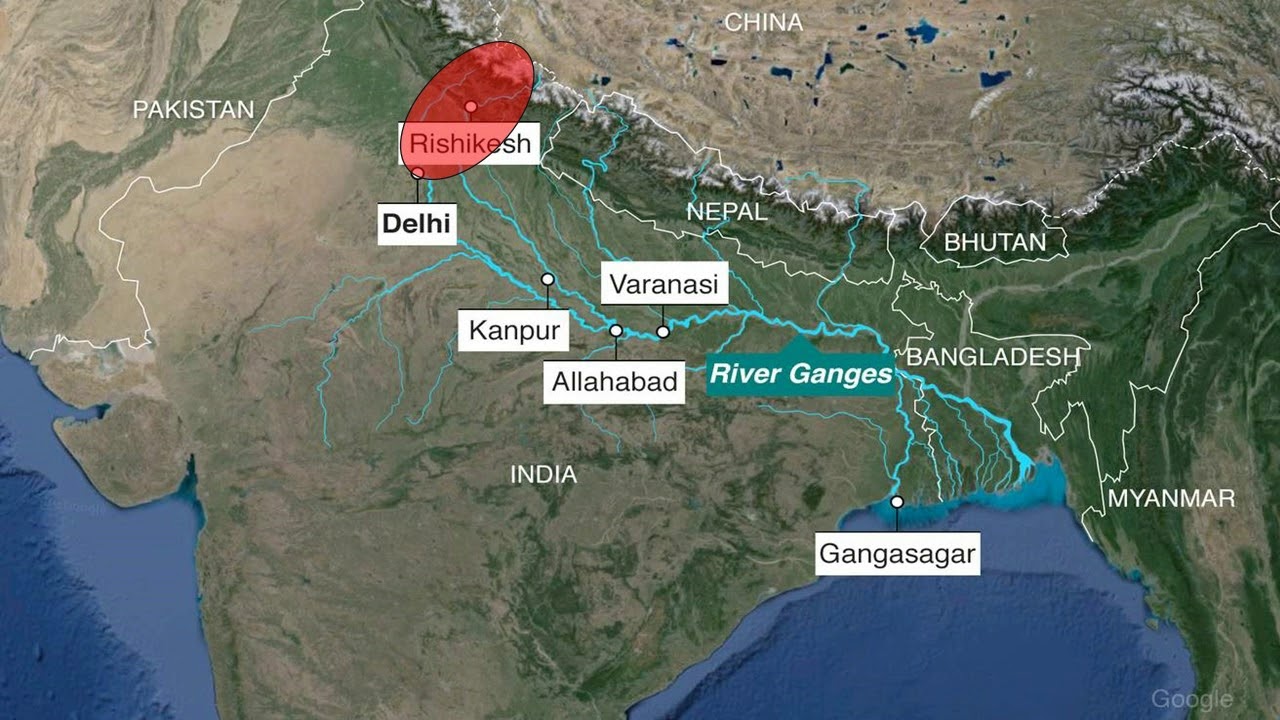 Basics of rescue and rehabilitation of freshwater macro-fauna along Ganga Basin