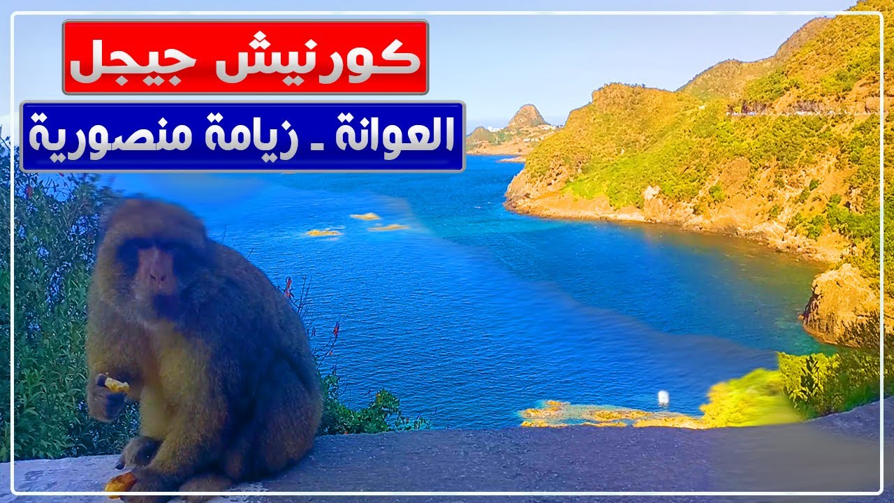 كورنيش جيجل: العوانة - زيامة منصورية || جولة بكورنيش جيجل || شواطئ جيجل || الكهوف العجيبة
