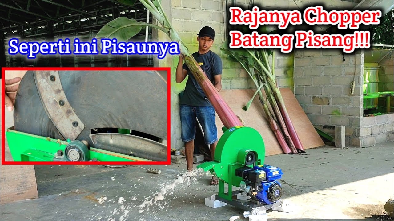 Review Pisau Mesin Cacah Gedebog Batang Pisang Super Cepat 3 Ton Perjam