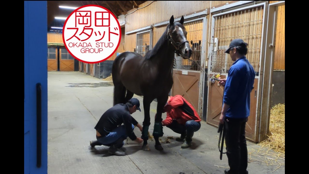 2025年9月21日 札幌競馬場へ出発するタイトルホルダーの様子