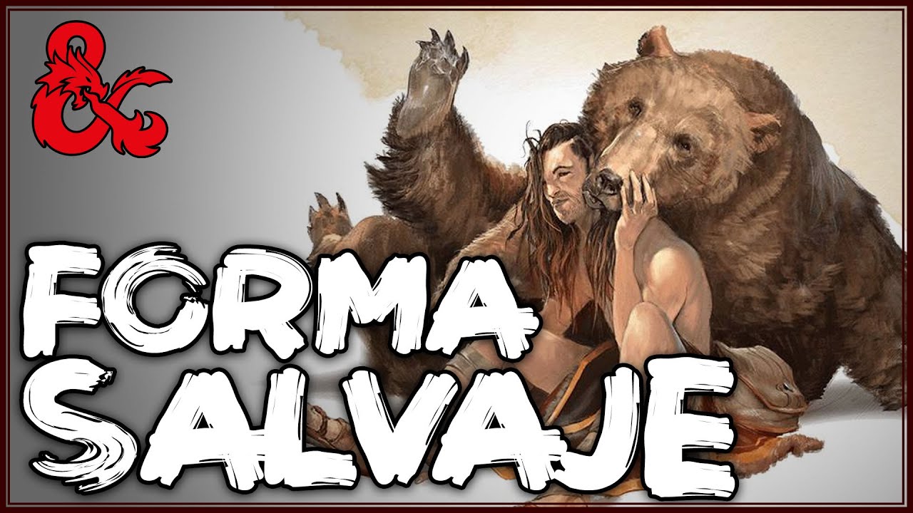 Todo sobre FORMA SALVAJE o WILDSHAPE, básico para druidas en #calabozosydragones #dungeonsanddragons