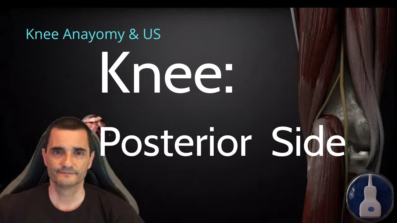 KNEE ULTRASOUND (PART 4/4) | Posterior Side: Anatomy & MSK Scan by Zones