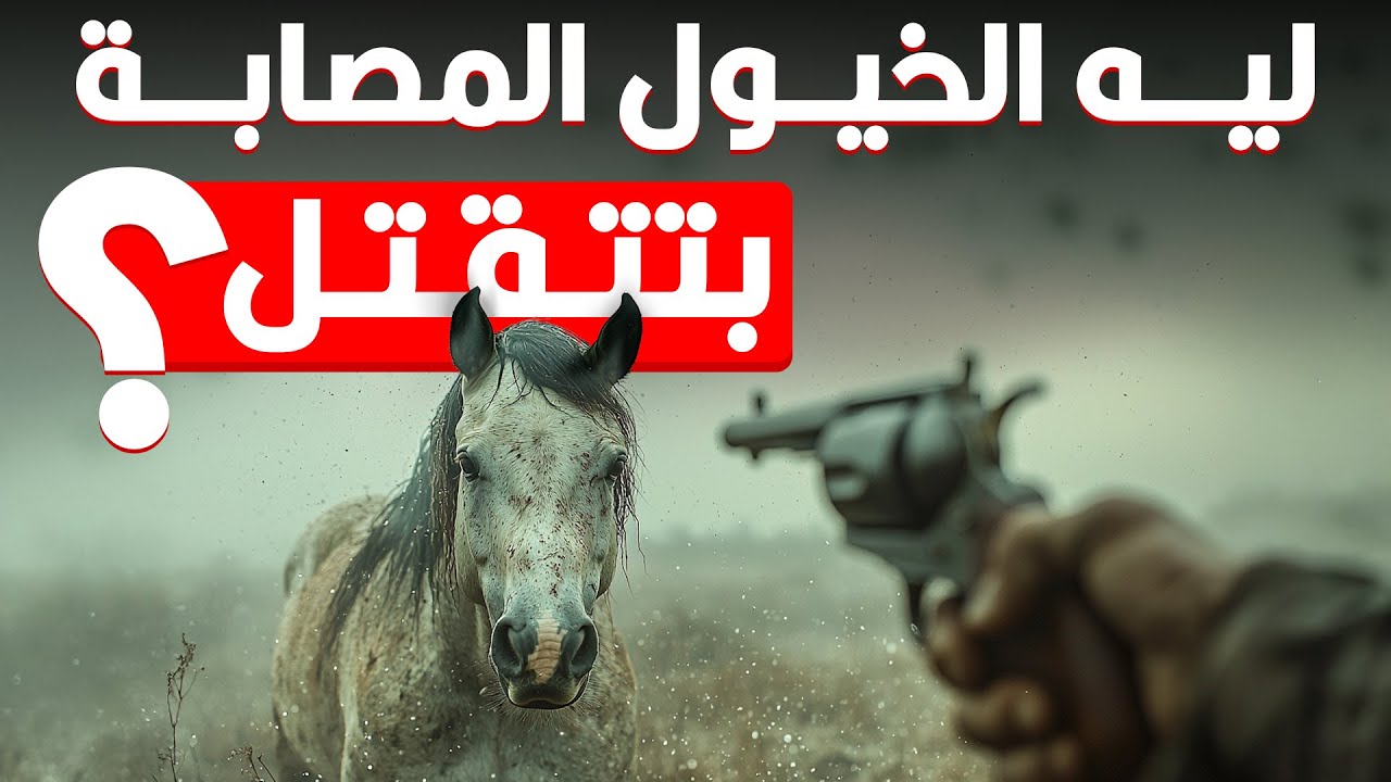 ليه الخيول اللي رجليها بتتكسر بيضربوها بالنار بدل ما يعالجوها؟
