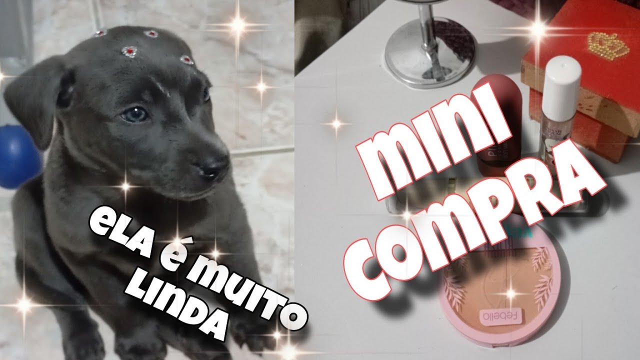 Nova integrante da família/comprei produtos de maquiagem.
