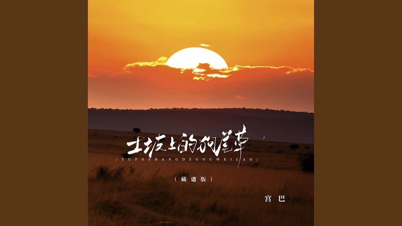 土坡上的狗尾草 (藏语版)