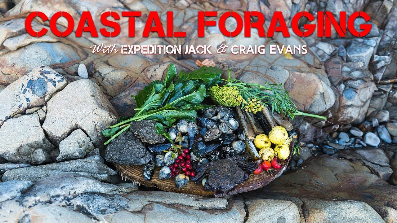 EXTREME LOW TIDE Foraging Razor Clams, Crabs, Oysters with Craig Evans