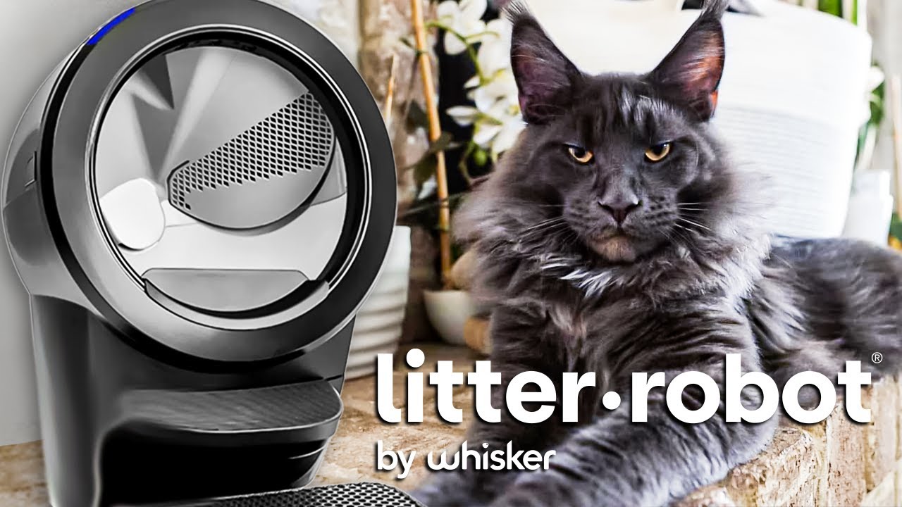 LITTER ROBOT — ЛУЧШИЙ лоток для вашей кошки!